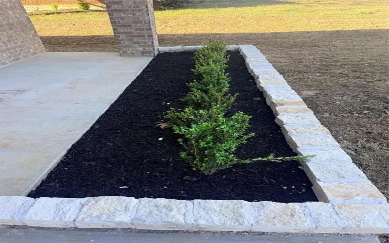 1403 Jefferson Street, Bowie, TX 76230, 3 Habitaciones Habitaciones , ,2 BañosBaños,Residential,En Venta,1403 Jefferson Street,0,21132963