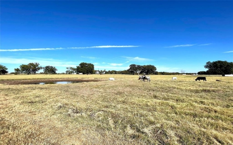 Phase 2 Lot 9 William Brewer Road, Tioga, TX 76721, 3 Bedrooms Bedrooms, ,3 BathroomsBathrooms,Residential,For Sale,Phase 2 Lot 9 William Brewer Road,0,21205178