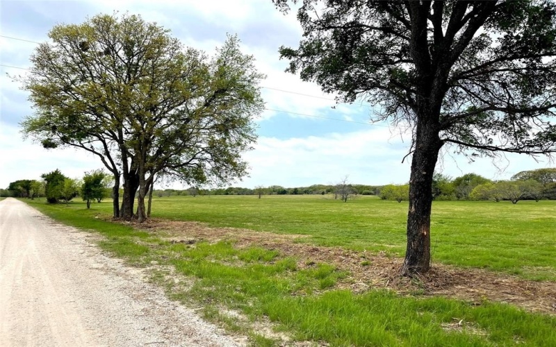 Phase 1 Lot 7 William Brewer Road, Tioga, TX 76271, ,Tierra,En Venta,Phase 1 Lot 7 William Brewer Road,0,21205681