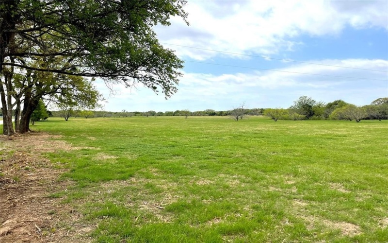 Phase 1 Lot 7 William Brewer Road, Tioga, TX 76271, ,Tierra,En Venta,Phase 1 Lot 7 William Brewer Road,0,21205681