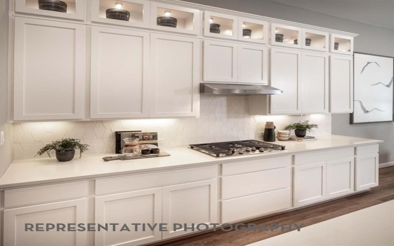 909 Alberta Spruce Road, Fort Worth, TX 76247, 4 Habitaciones Habitaciones , ,3 BañosBaños,Residential,En Venta,909 Alberta Spruce Road,0,21208377