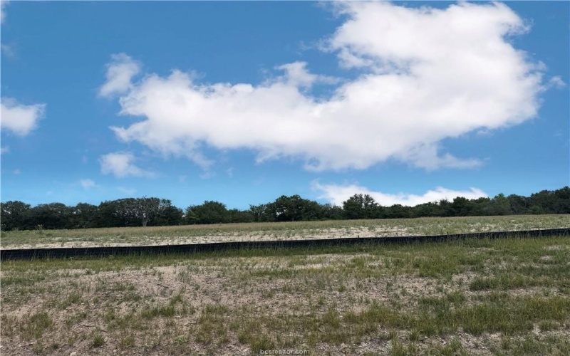 1635 Lucky Street, Bryan, TX 77803, 3 Habitaciones Habitaciones , ,2 BañosBaños,Residential,En Venta,1635 Lucky Street,0,26003185