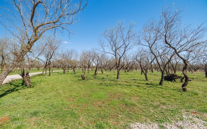 3445 County Road 337, Early, TX 76802, 2 Bedrooms Bedrooms, ,2 BathroomsBathrooms,Residential,For Sale,3445 County Road 337,0,21204863