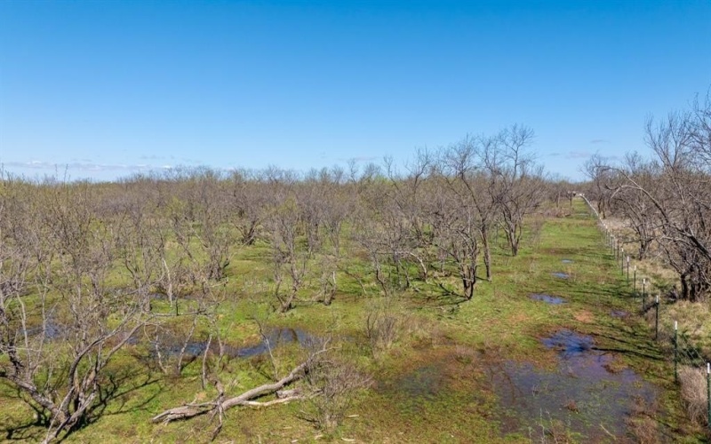 3445 County Road 337, Early, TX 76802, 2 Bedrooms Bedrooms, ,2 BathroomsBathrooms,Residential,For Sale,3445 County Road 337,0,21204863