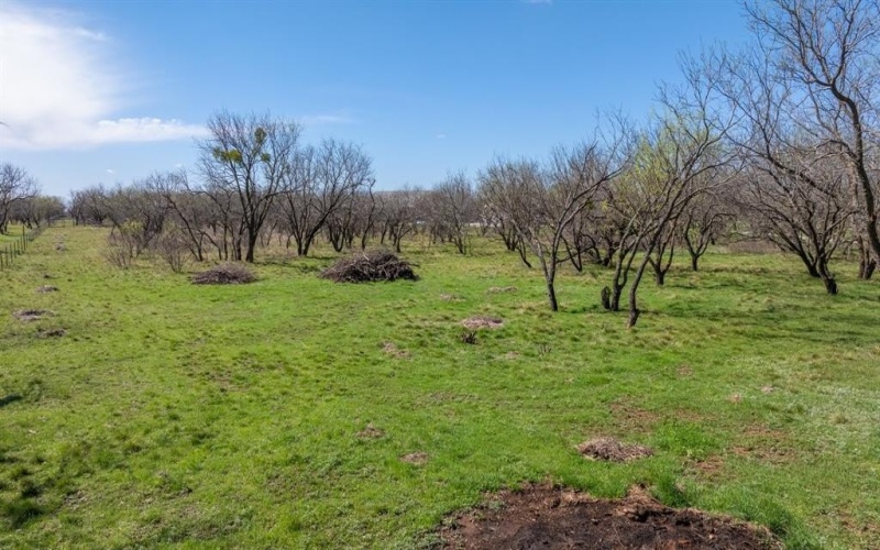 3445 County Road 337, Early, TX 76802, 2 Bedrooms Bedrooms, ,2 BathroomsBathrooms,Residential,For Sale,3445 County Road 337,0,21204863