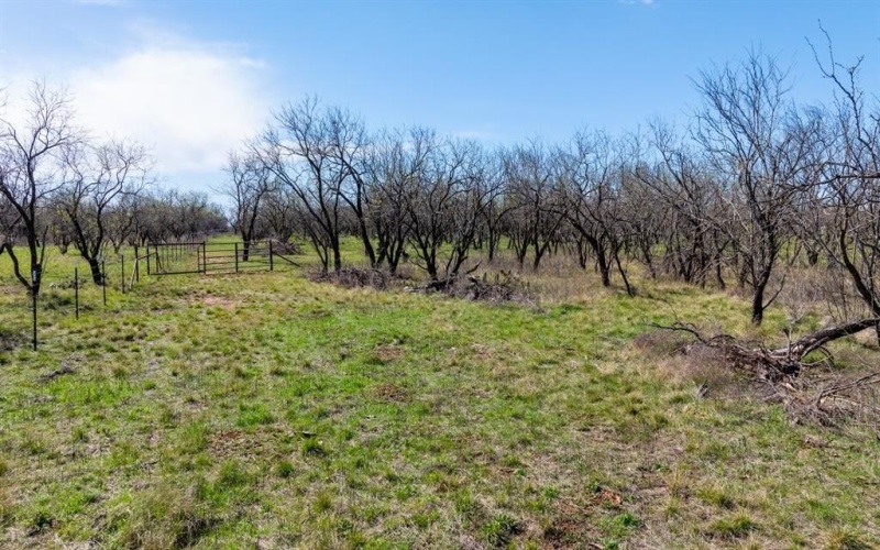 3445 County Road 337, Early, TX 76802, 2 Bedrooms Bedrooms, ,2 BathroomsBathrooms,Residential,For Sale,3445 County Road 337,0,21204863