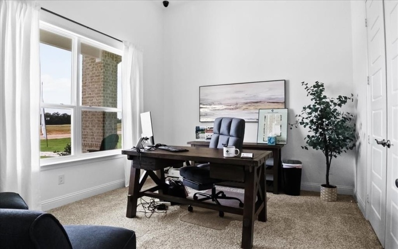 1000 Brock Heights Court, Brock, TX 76087, 4 Bedrooms Bedrooms, ,3 BathroomsBathrooms,Residential,For Sale,1000 Brock Heights Court,0,21210891