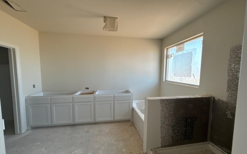 1217 Colca Drive, Springtown, TX 76082, 4 Bedrooms Bedrooms, ,2 BathroomsBathrooms,Residential,For Sale,1217 Colca Drive,0,21211421