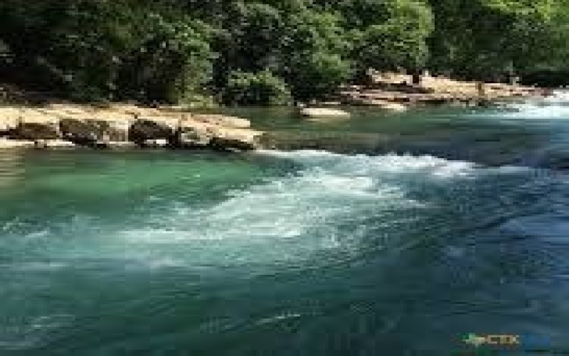 608 River Road, Martindale, TX 78655, 3 Bedrooms Bedrooms, ,2 BathroomsBathrooms,Residential,For Sale,608 River Road,0,595450