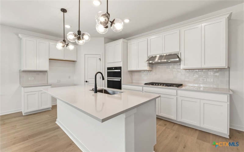 526 Rubber Tree Way, Buda, TX 78610, 4 Bedrooms Bedrooms, ,2 BathroomsBathrooms,Residential,For Sale,526 Rubber Tree Way,0,606941