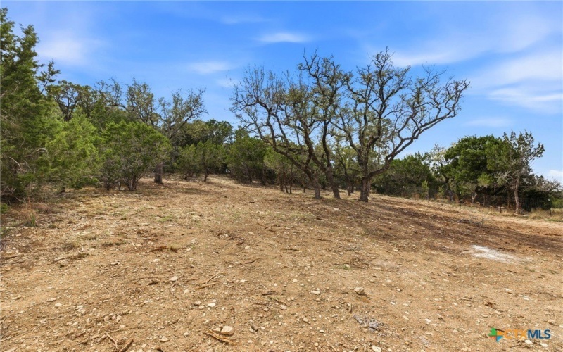 684 Appaloosa Drive, Fischer, TX 78623, 3 Bedrooms Bedrooms, ,2 BathroomsBathrooms,Residential,For Sale,684 Appaloosa Drive,0,607978