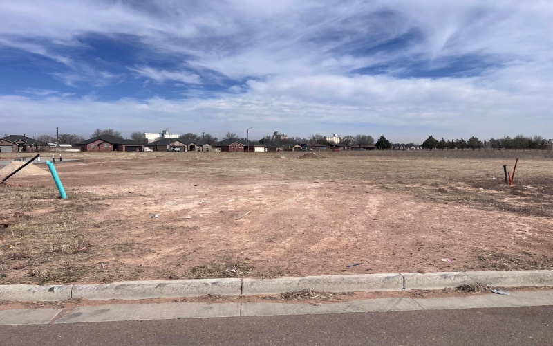 842 Torres Drive, Hereford, TX 79045, 3 Bedrooms Bedrooms, ,2 BathroomsBathrooms,Residential,For Sale,842 Torres Drive,0,26-2434