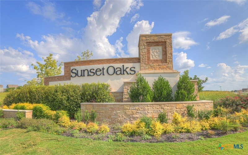 204 SURREY OAKS, Maxwell, TX 78656, 3 Bedrooms Bedrooms, ,2 BathroomsBathrooms,Residential,For Sale,204 SURREY OAKS,0,608405