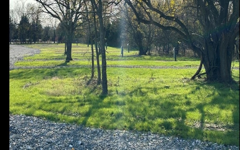 2141 Hwy 64, Ladonia, TX 75449, ,Commercial Sale,For Sale,2141 Hwy 64,0,20485772