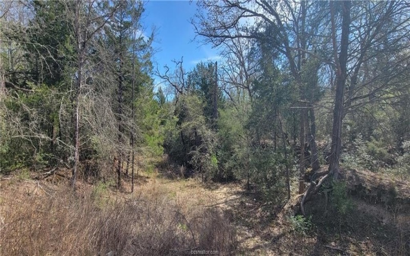 2792 Yorkshire Trail, Franklin, TX 77856, 3 Bedrooms Bedrooms, ,2 BathroomsBathrooms,Residential,For Sale,2792 Yorkshire Trail,0,26003346