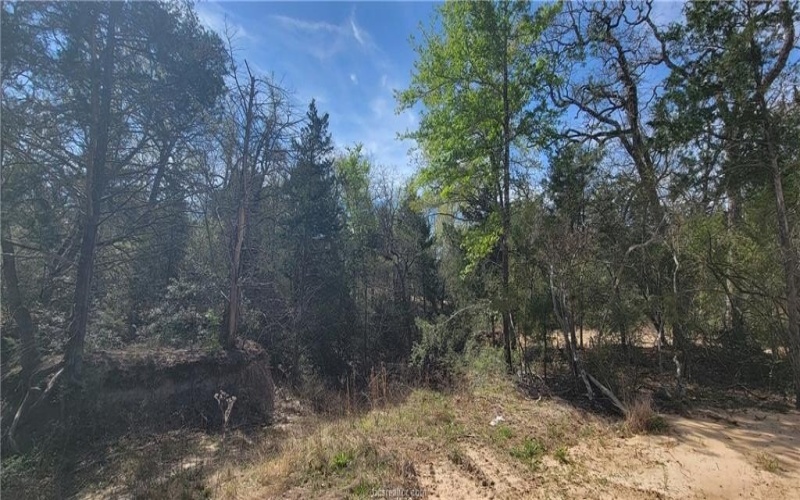 2792 Yorkshire Trail, Franklin, TX 77856, 3 Bedrooms Bedrooms, ,2 BathroomsBathrooms,Residential,For Sale,2792 Yorkshire Trail,0,26003346