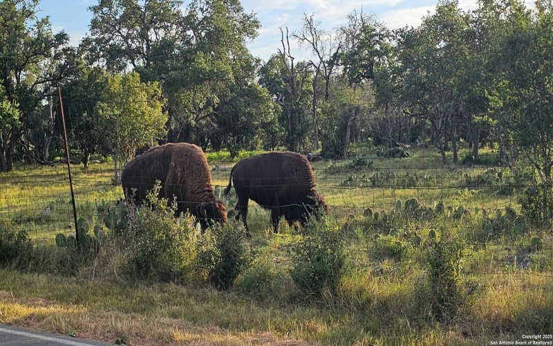 660 Cypress pass, Spring Branch, TX 78070, 4 Bedrooms Bedrooms, ,2 BathroomsBathrooms,Residential,For Sale,660 Cypress pass,0,1914929