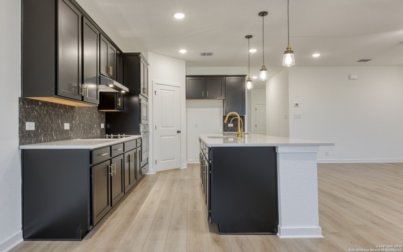 12803 Lower Peach Way, Schertz, TX 78154, 3 Bedrooms Bedrooms, ,2 BathroomsBathrooms,Residential,For Sale,12803 Lower Peach Way,0,1931704