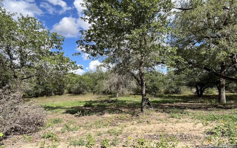 County Rd 124 lot: I 497, Floresville, TX 78112, 3 Bedrooms Bedrooms, ,2 BathroomsBathrooms,Residential,For Sale,County Rd 124 lot: I 497,0,1927025