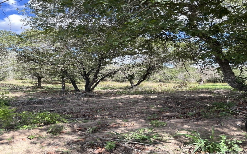 County Rd 124 lot: I 497, Floresville, TX 78112, 3 Bedrooms Bedrooms, ,2 BathroomsBathrooms,Residential,For Sale,County Rd 124 lot: I 497,0,1927025