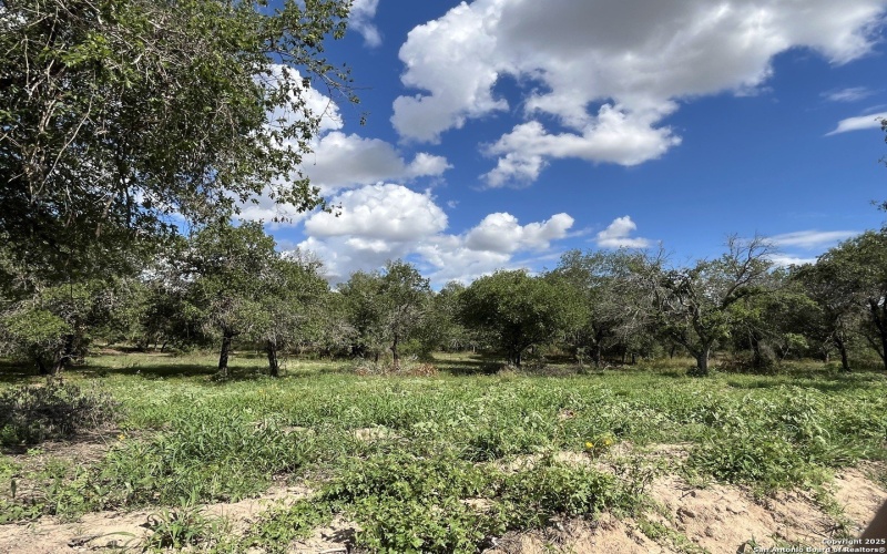 County Rd 124 lot: I 497, Floresville, TX 78112, 3 Bedrooms Bedrooms, ,2 BathroomsBathrooms,Residential,For Sale,County Rd 124 lot: I 497,0,1927025