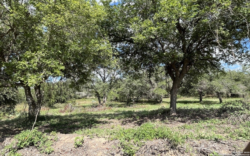 County Rd 124 lot: I 497, Floresville, TX 78112, 3 Bedrooms Bedrooms, ,2 BathroomsBathrooms,Residential,For Sale,County Rd 124 lot: I 497,0,1927025