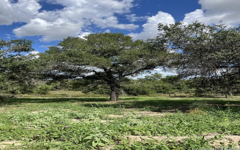 County Rd 124 lot: I 497, Floresville, TX 78112, 3 Bedrooms Bedrooms, ,2 BathroomsBathrooms,Residential,For Sale,County Rd 124 lot: I 497,0,1927025