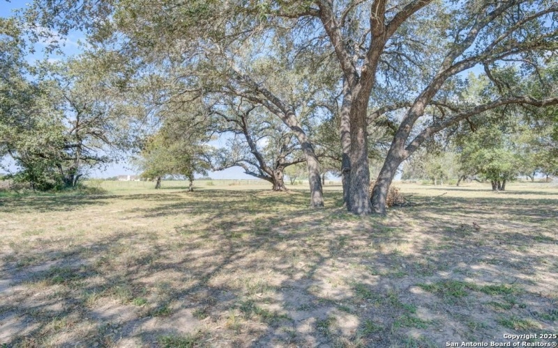 140 county road 6871, Natalia, TX 78059, 4 Bedrooms Bedrooms, ,2 BathroomsBathrooms,Residential,For Sale,140 county road 6871,0,1944994