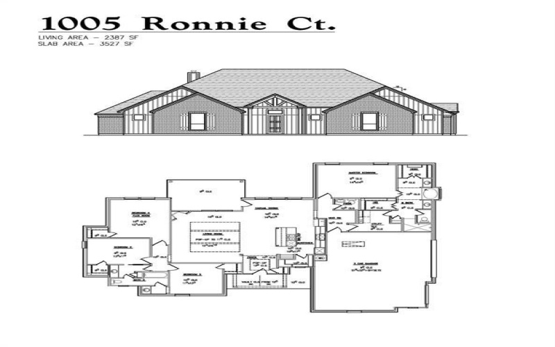 1005 Ronnie Court, Springtown, TX 76082, 4 Bedrooms Bedrooms, ,2 BathroomsBathrooms,Residential,For Sale,1005 Ronnie Court,0,21223047