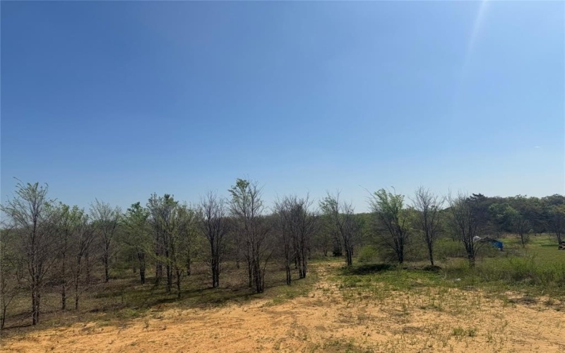 358 Reast Road, Whitesboro, TX 76273, 4 Bedrooms Bedrooms, ,2 BathroomsBathrooms,Residential,For Sale,358 Reast Road,0,21223105