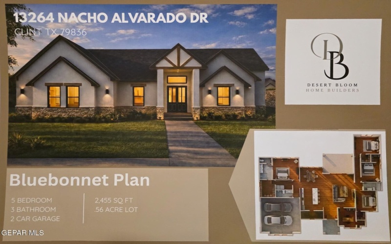 13264 Nacho Alvarado Drive, Clint, TX 79836, 5 Bedrooms Bedrooms, ,3 BathroomsBathrooms,Residential,For Sale,13264 Nacho Alvarado Drive,0,941287