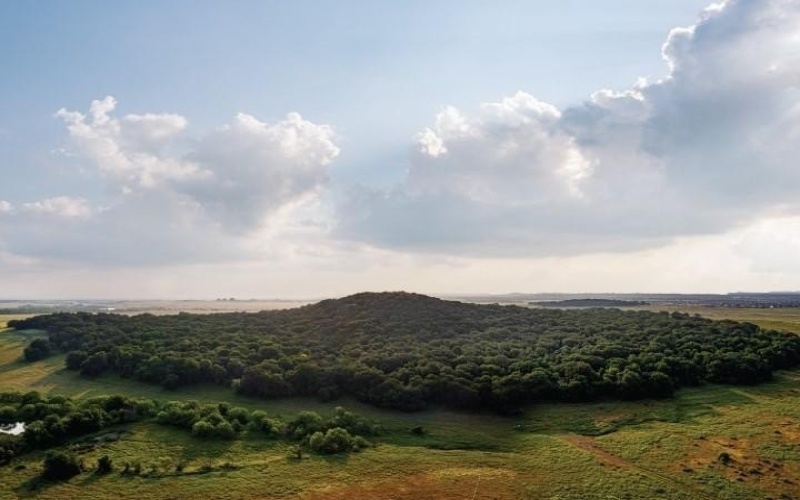 9209 Rolling Meadow Way, Denton, TX 76207, 3 Bedrooms Bedrooms, ,2 BathroomsBathrooms,Residential,For Sale,9209 Rolling Meadow Way,0,21212082