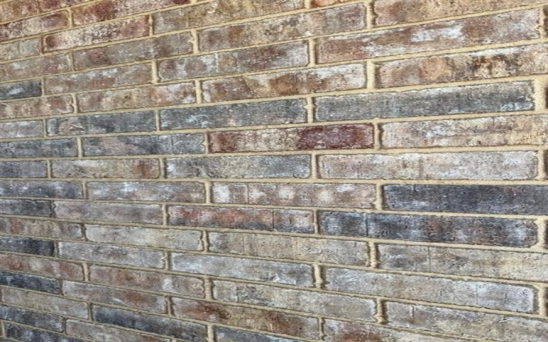 841 Elmstead Drive, Fort Worth, TX 76108, 3 Bedrooms Bedrooms, ,2 BathroomsBathrooms,Residential,For Sale,841 Elmstead Drive,0,21224088