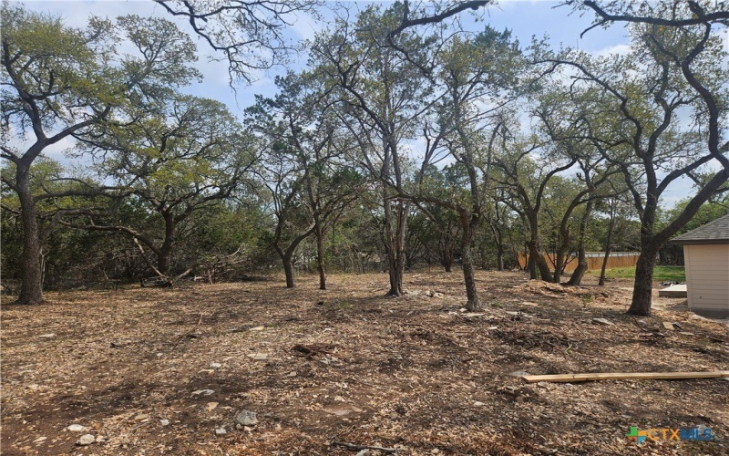 469 Persimmon Pass, Fischer, TX 78623, 3 Habitaciones Habitaciones , ,2 BañosBaños,Residential,En Venta,469 Persimmon Pass,0,608862