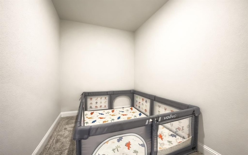 1733 Ambrosia Road, Celina, TX 75009, 4 Habitaciones Habitaciones , ,3 BañosBaños,Residential,En Venta,1733 Ambrosia Road,0,21225201