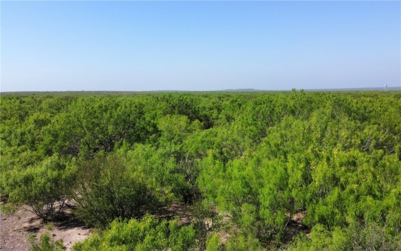 JD White Rd, Freer, TX 78357, ,Farm,For Sale,JD White Rd,0,474254