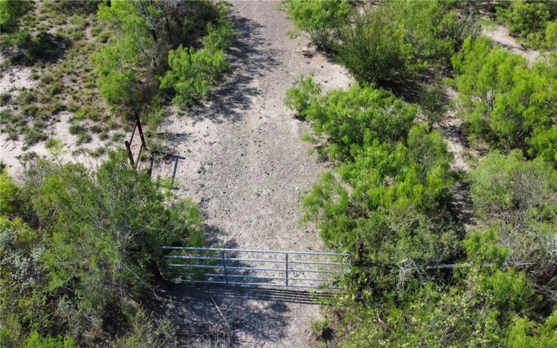 JD White Rd, Freer, TX 78357, ,Farm,For Sale,JD White Rd,0,474254