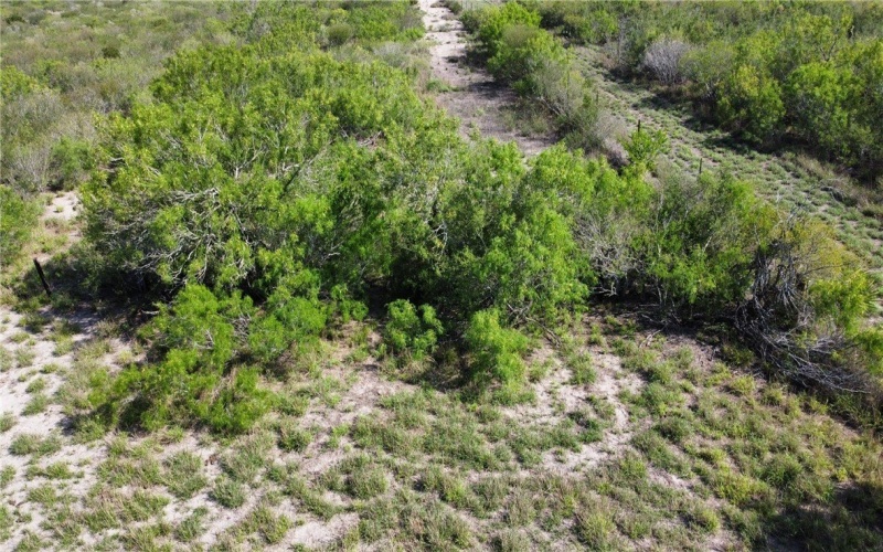 JD White Rd, Freer, TX 78357, ,Farm,For Sale,JD White Rd,0,474254