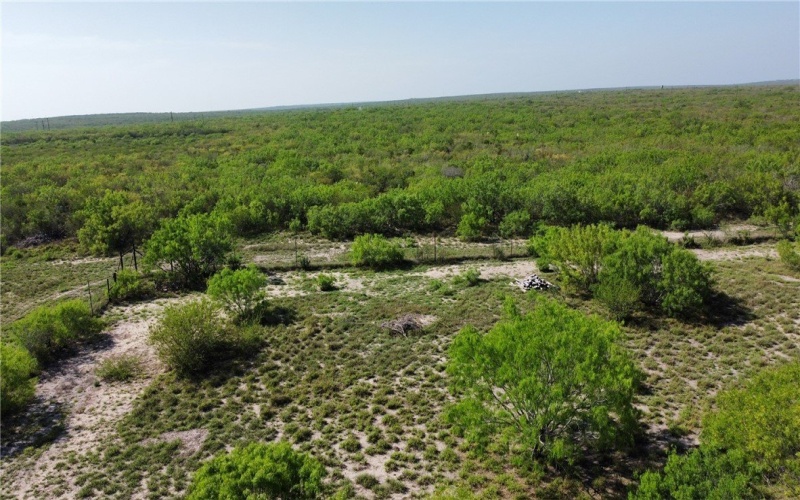 JD White Rd, Freer, TX 78357, ,Farm,For Sale,JD White Rd,0,474254