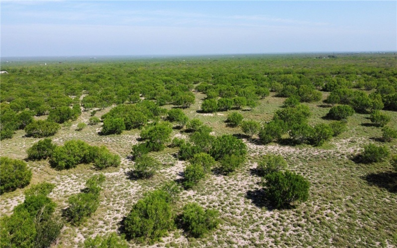 JD White Rd, Freer, TX 78357, ,Farm,For Sale,JD White Rd,0,474254