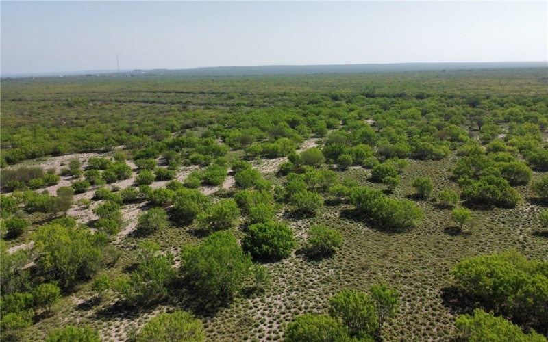 JD White Rd, Freer, TX 78357, ,Farm,For Sale,JD White Rd,0,474254