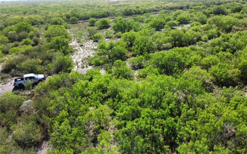 JD White Rd, Freer, TX 78357, ,Farm,For Sale,JD White Rd,0,474254