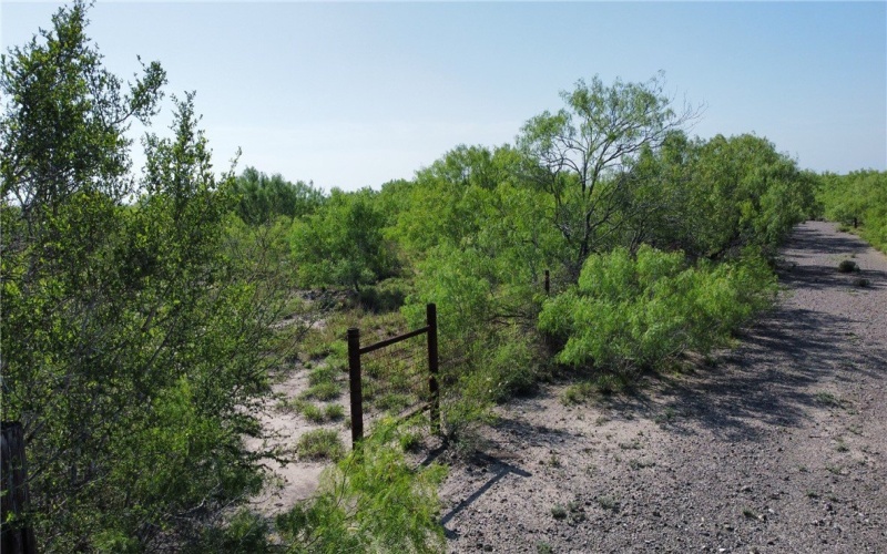 JD White Rd, Freer, TX 78357, ,Farm,For Sale,JD White Rd,0,474254