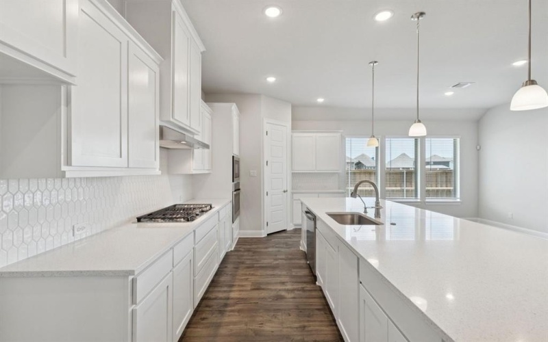 1125 Painted Lady Drive, Crowley, TX 76036, 4 Bedrooms Bedrooms, ,3 BathroomsBathrooms,Residential,For Sale,1125 Painted Lady Drive,0,21227062