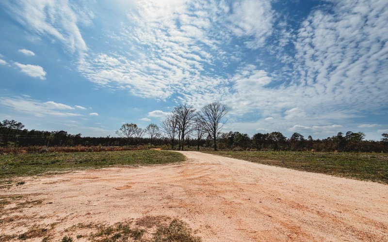 4100 CR 915, Nacogdoches, TX 75965, 2 Bedrooms Bedrooms, ,1 BathroomBathrooms,Residential,For Sale,4100 CR 915,0,70012754