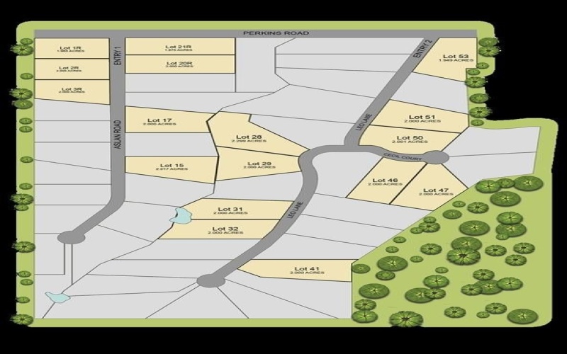 1001 Leo Lane, Poolville, TX 76487, 4 Bedrooms Bedrooms, ,2 BathroomsBathrooms,Residential,For Sale,1001 Leo Lane,0,21228504
