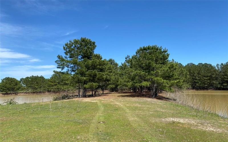 1215 CR 4165, Quitman, TX 75783, ,Land,For Sale,1215 CR 4165,0,21224175
