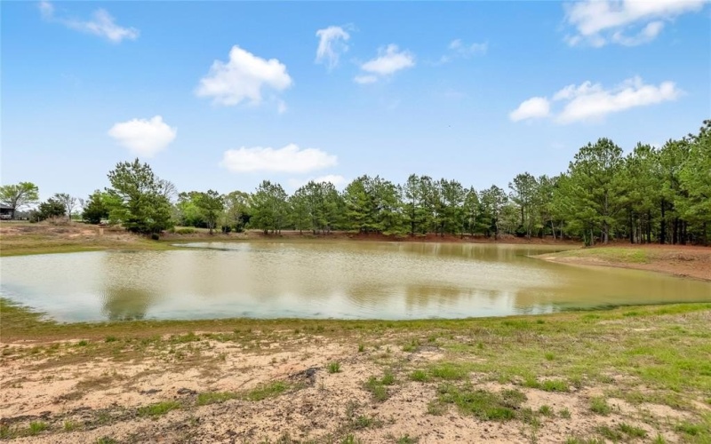 1215 CR 4165, Quitman, TX 75783, ,Land,For Sale,1215 CR 4165,0,21224175