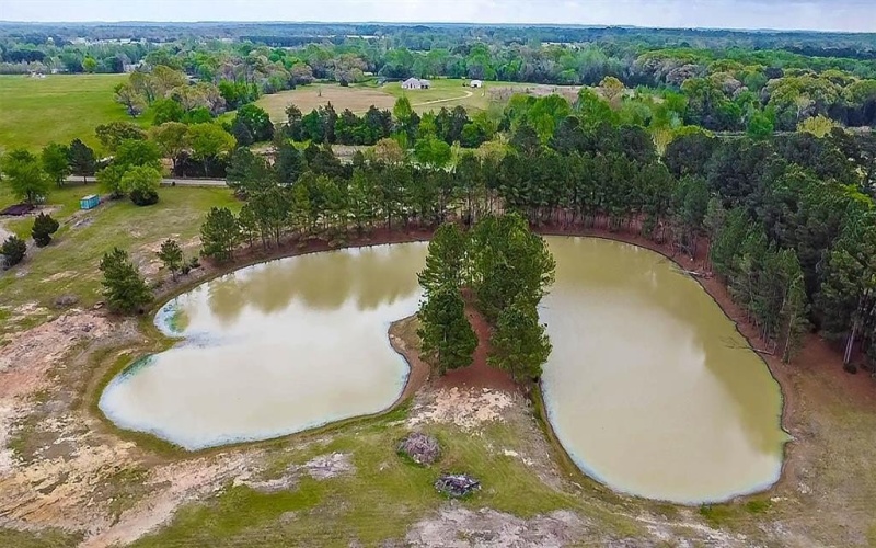 1215 CR 4165, Quitman, TX 75783, ,Land,For Sale,1215 CR 4165,0,21224175