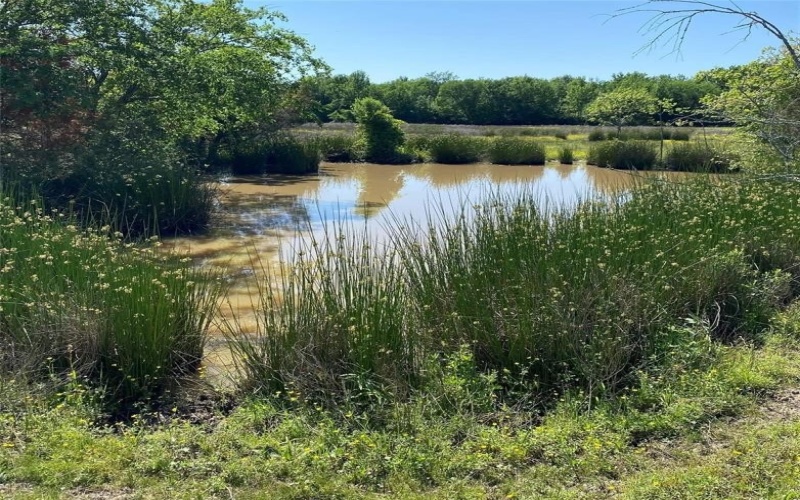 1215 CR 4165, Quitman, TX 75783, ,Land,For Sale,1215 CR 4165,0,21224175